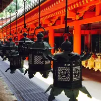 春日大社の写真・動画_image_79051