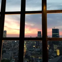 東京タワーの写真・動画_image_79115