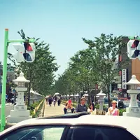 段葛の写真・動画_image_79363