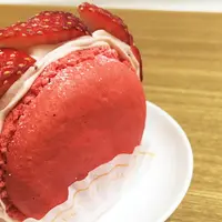 Le Pommier 神楽坂店の写真・動画_image_79419