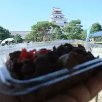 鶴ヶ城（若松城）の写真・動画_image_7957