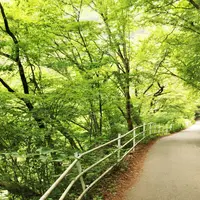 昇仙峡の写真・動画_image_79654
