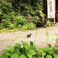 昇仙峡の写真・動画_image_79665