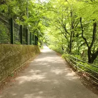 昇仙峡の写真・動画_image_79667