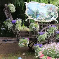 河口湖音楽と森の美術館（旧：オルゴールの森）の写真・動画_image_79687