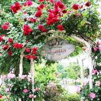 河口湖音楽と森の美術館（旧：オルゴールの森）の写真・動画_image_79688