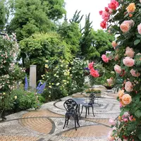 河口湖音楽と森の美術館（旧：オルゴールの森）の写真・動画_image_79693