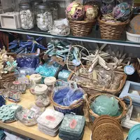 NATURAL KITCHEN 吉祥寺店の写真・動画_image_79813