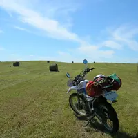 中標津牧場地帯の写真・動画_image_7990
