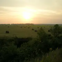 中標津牧場地帯の写真・動画_image_7991