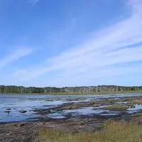 野付半島の写真・動画_image_7992