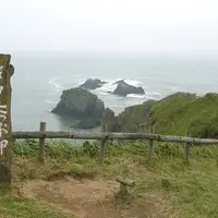 霧多布湿原の写真・動画_image_7998