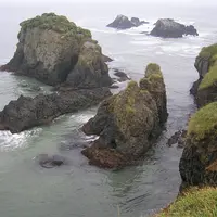 霧多布湿原の写真・動画_image_7999