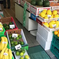 フルーツハウス吉田屋の写真・動画_image_80068