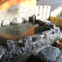 無雙庵枇杷の写真・動画_image_8070