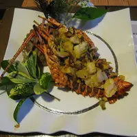 無雙庵枇杷の写真・動画_image_8073