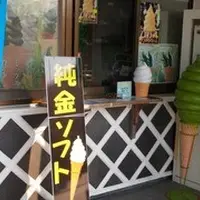 土肥金山の写真・動画_image_8074
