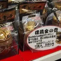 土肥金山の写真・動画_image_8075