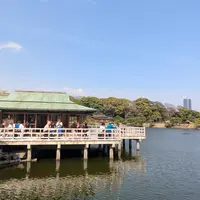 中島の御茶屋の写真・動画_image_810813