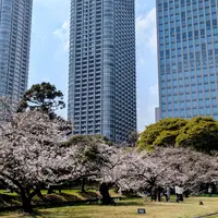 浜離宮恩賜庭園の写真・動画_image_810814