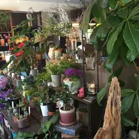 ブランシュの写真・動画_image_81352