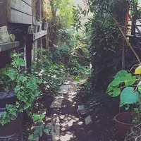 SPICE Cafe（スパイスカフェ）の写真・動画_image_81668