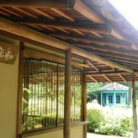 四天王寺【大阪】の写真・動画_image_8212