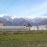 白馬ハイランドホテル 天神の湯の写真・動画_image_8234