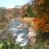 大出の吊り橋の写真・動画_image_8236