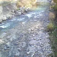 大出の吊り橋の写真・動画_image_8237