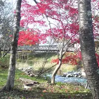 大出の吊り橋の写真・動画_image_8239