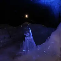 富岳風穴の写真・動画_image_8286