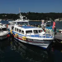 金華山（金華山島）の写真・動画_image_8311