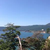 金華山（金華山島）の写真・動画_image_8315