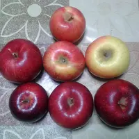 高島農園の写真・動画_image_8316