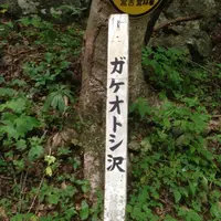 とどケ崎の写真・動画_image_8334