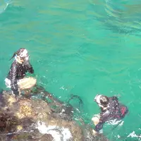 小袖海女センターの写真・動画_image_8350