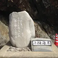 小袖海女センターの写真・動画_image_8351