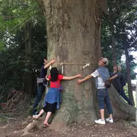 麦雑穀工房 マイクロブルワリーの写真・動画_image_83763
