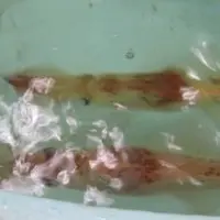 JA糸島産直市場 伊都菜彩の写真・動画_image_8460