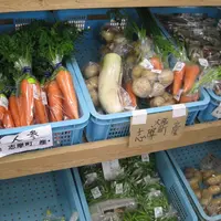JA糸島産直市場 伊都菜彩の写真・動画_image_8502