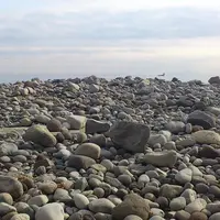 御幸の浜の写真・動画_image_8523