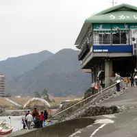 木曽川リバーサイドの写真・動画_image_8593