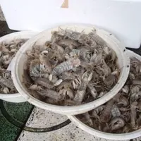 鈴木鮮魚店の写真・動画_image_8670