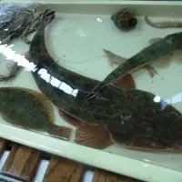 五味の市の写真・動画_image_8677