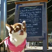 Le Pain Quotidien (ル・パン・コティディアン) 芝公園店の写真・動画_image_8744