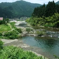 かやぶきの里北集落の写真・動画_image_8809