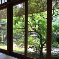 茶寮 宝泉の写真・動画_image_88670