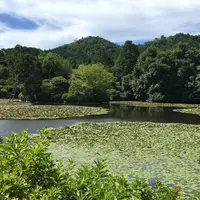 龍安寺の写真・動画_image_89085