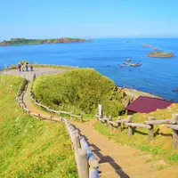 礼文島の写真・動画_image_8935